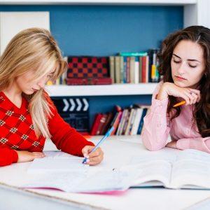 LGS Sınav İngilizcesi Eğitimi Sertifikası