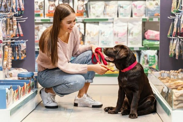 Pet Shop Eğitimi Sertifikası